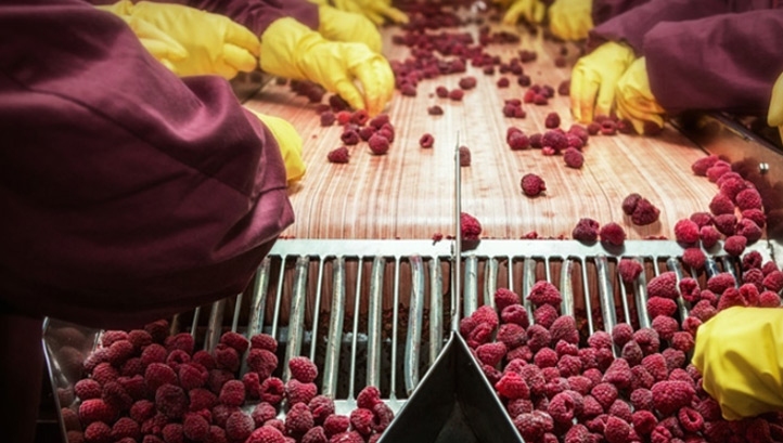 Businesses disclosing data to WRAP have, on average, reduced their food waste footprint 7% year-on-year